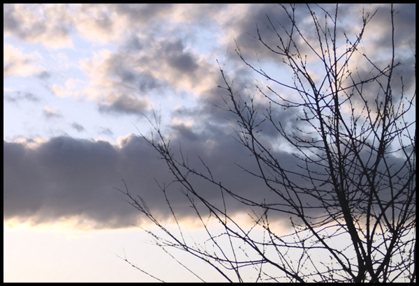 My Sky