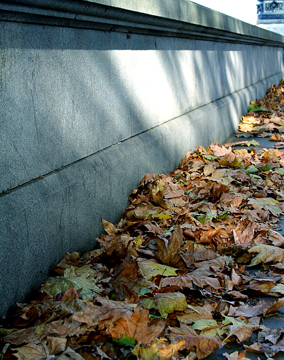Where They Lie