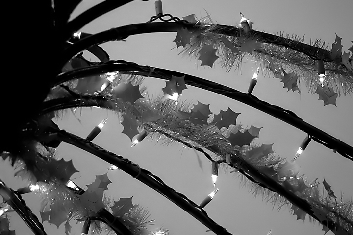 Carriage Lights
