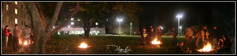 Bonfires on the Lawn