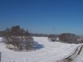 Out my front window