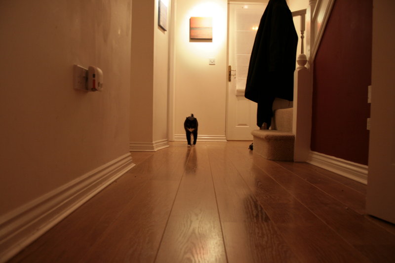 My Hallway
