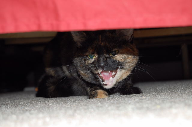 Get away from me now!