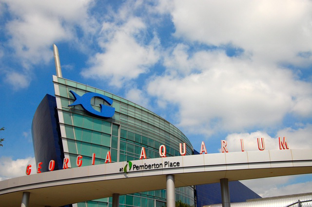 atl0054.JPG