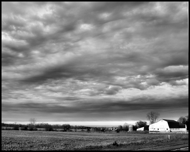 White Barn