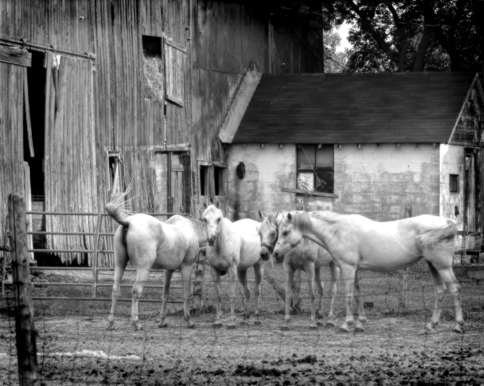 Old Smith Farm