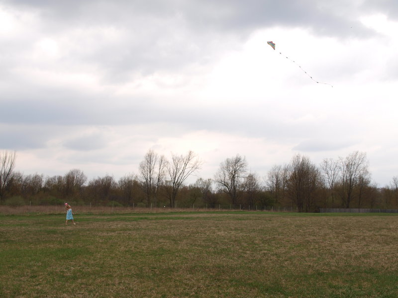 P4259432.JPG