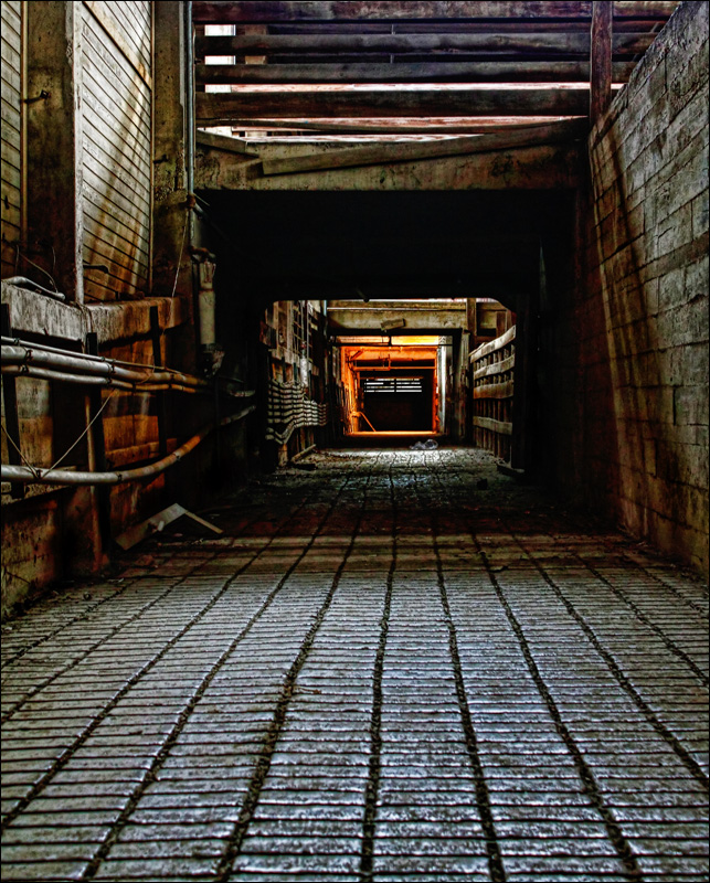 bob\'s-building.jpg