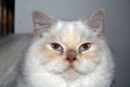 you staring at something.jpg