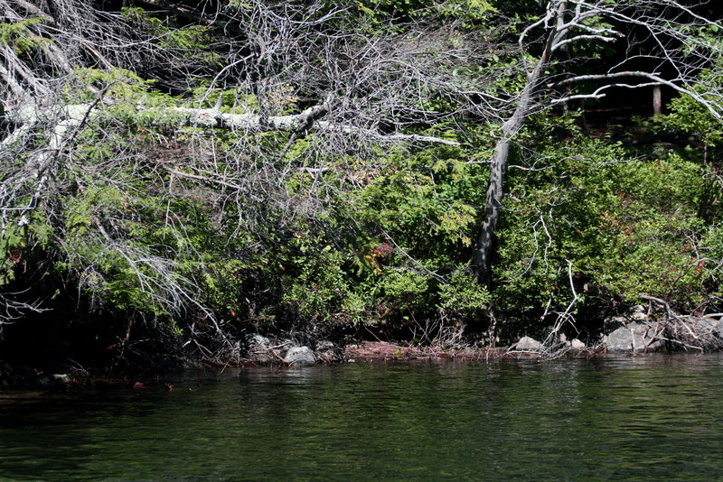 lake.jpg