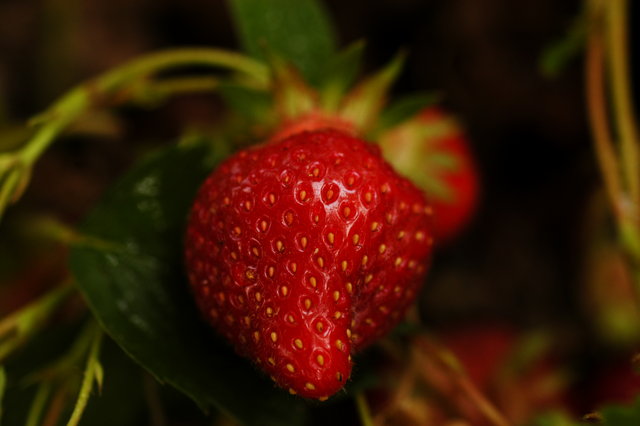 A Strawberry