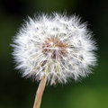 Blow Me