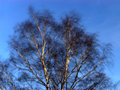 Sun and Wind