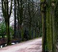 The Lane