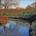 Late Afternoon Stroll Along the Canal.jpg