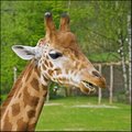 Are You Talking To Me?