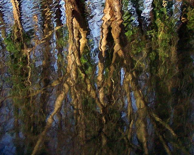 Reflections
