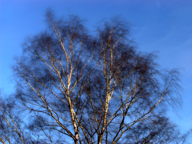 Sun and Wind
