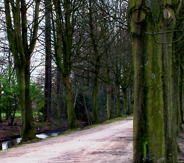 The Lane