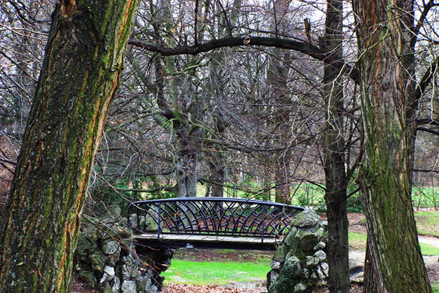The Bridge