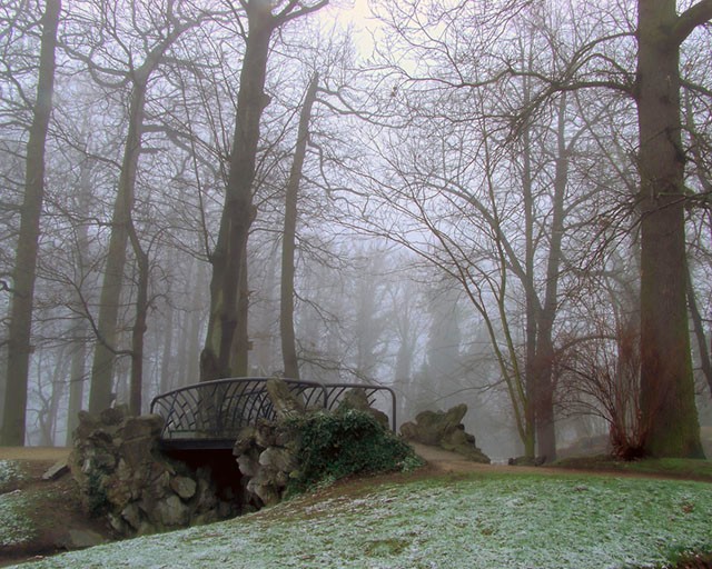Frosty Morning IV