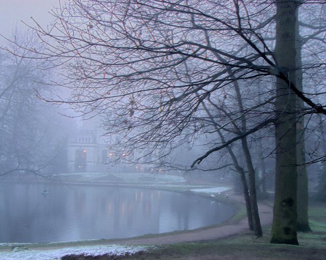 Frosty Morning V