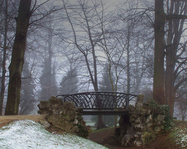 Frosty Morning VII