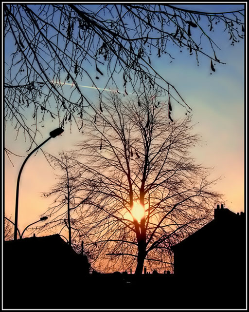 Suburbia I