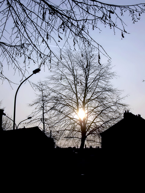 Suburbia 1 ORIG