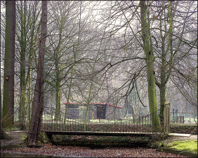 Suspension Footbridge