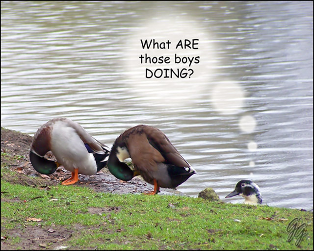 The Competition Hottens Up