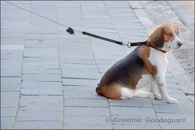 Tethered
