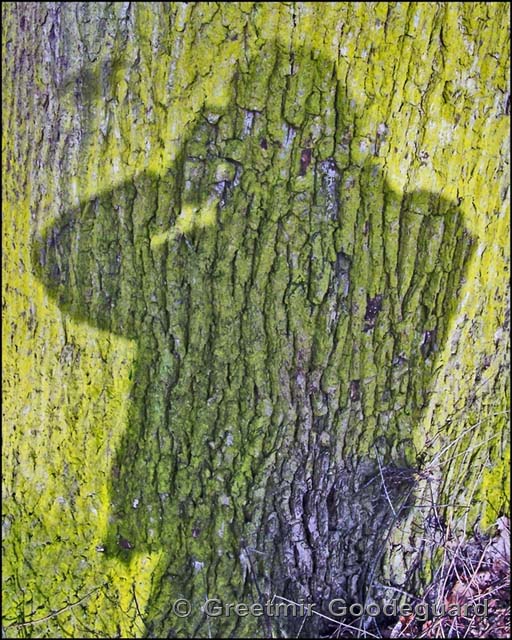 Portrait of a Nature Photographer