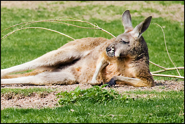 Just Chillin'