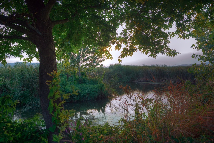 evening at the lake