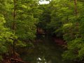 Swampthings Swimming pool