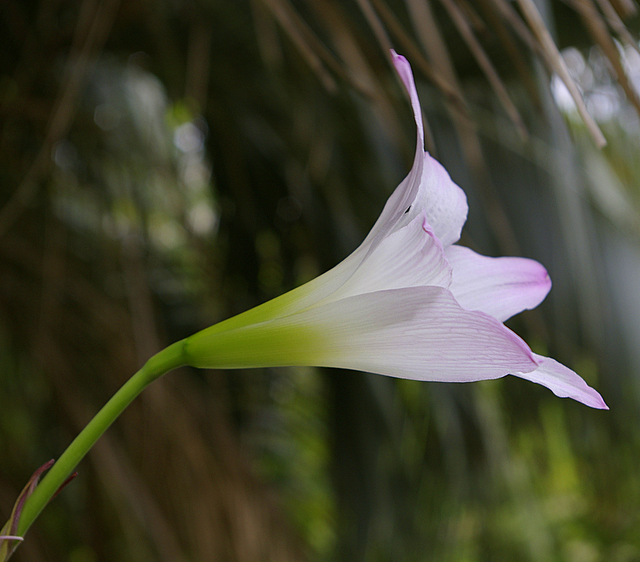 _IGP5779.JPG