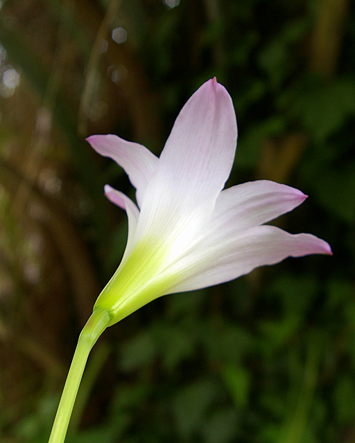 _IGP5793.JPG