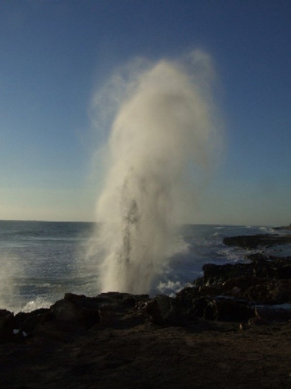 Blowing at Sunrise