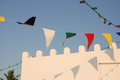 Flag Dancing with light.JPG