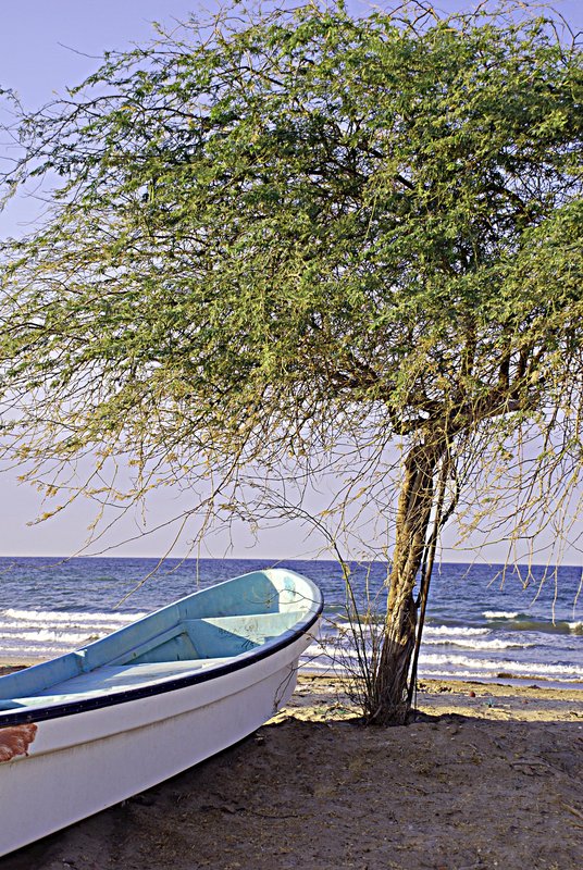 Waiting to go fishing.jpg
