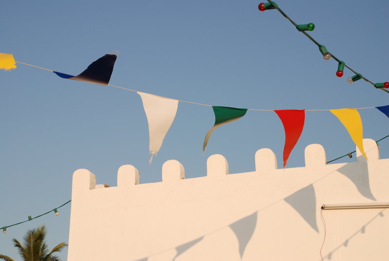 Flag Dancing with light.JPG