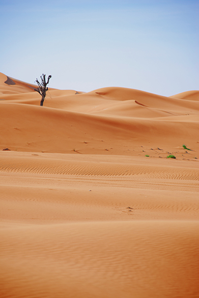Dubai Desert.jpg