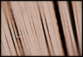 Day 10: Paper thin?
