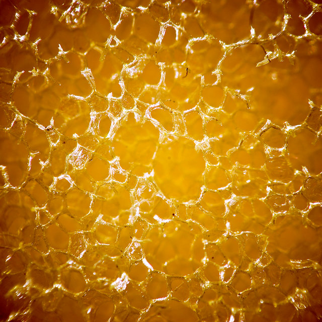 Yellow kitchen sponge, outtake 1