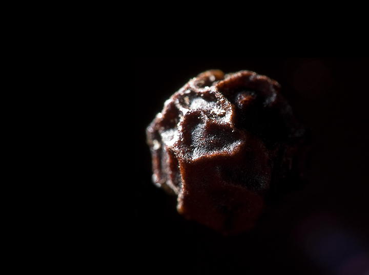 Day 4: Sunrise over pepper planet
