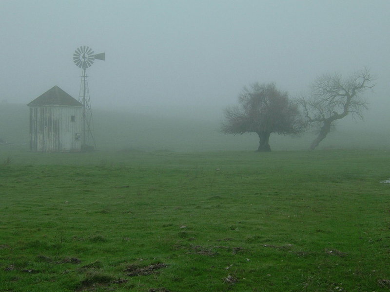 Foggy day