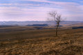 Alone