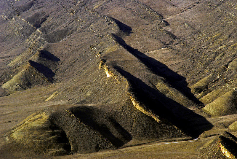 Shadows