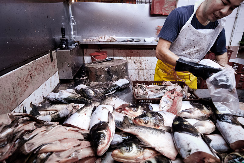 Fishes